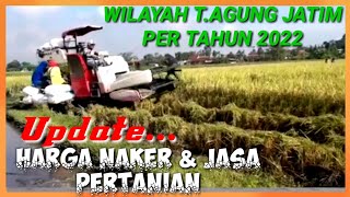 HARGA BURUH TANI SEMAKIN MAHAL||THE PRICES OF FARMING WORKERS ARE GETTING EXPENSIVE