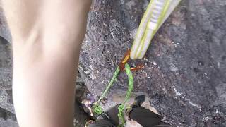 Pitch Fork, 5.10b - Echo Creek