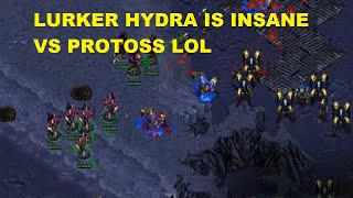 HYDRA LURKER IS INSANE VS PROTOSS