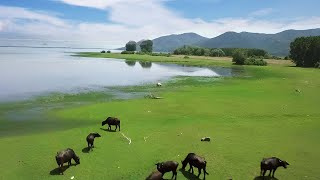 Touring Northern Greece's Secluded Wetland Region