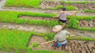 Farmers across Teng County of Wuzhou City are busy preparing for spring