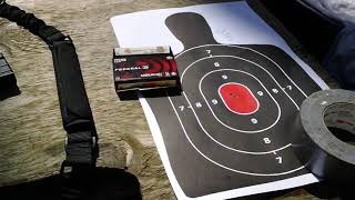 Palmetto State Armory accuracy