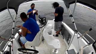 Jamaica Bay jumbo porgys on clams and shrimp!!!!