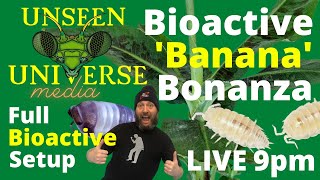 BIOACTIVE SETUP - Bioactive 'BANANA PLANT’ Bonanza!