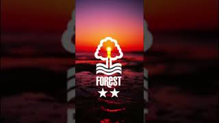 Forest till I die🌳🔴⚪️