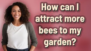 How can I attract more bees to my garden?