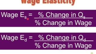 NB7. Elasticity Types - Measuring Responsiveness