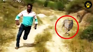 125 INTENSE Moments Animals Went Crazy!