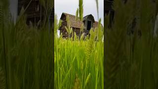 Abandon Barn Adventures