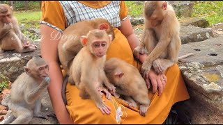 Baby Angela eagerly awaits mom feeding milk while everyone waits silently even though they hungry