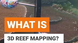 What is 3D reef mapping?