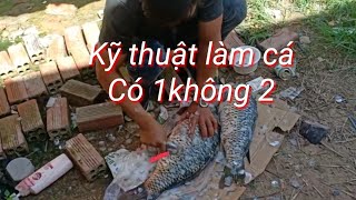 Cá ở hồ dầu Tiếng toàn là _cá khủng #HKT.TV#15