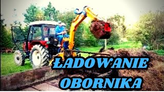 Ładowanie Obornika ☆Ursus C-330☆ Zetor 5245☆ młody wkońcu wziął się do roboty.