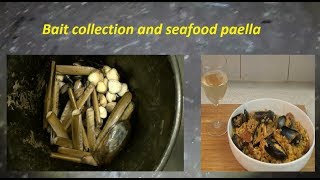 beach foraging for bait and cooking a fantastic shell fish paella