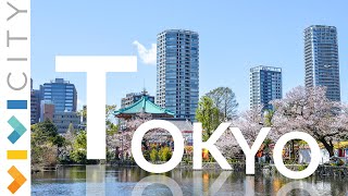 Tokyo: quartieri e zone da non perdere!