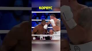 Проиграл ли Усик ?! #shorts #boxing #бокс