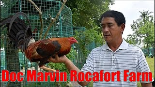 Lets Visit The Farm Of Doc Marvin Rocafort Gamefarm