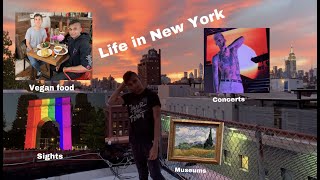 Living in New York City; A Year in My Life (sights,seasons,vegan food and more) part 1