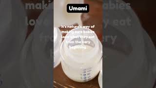 Breast Milk is Umami #umami #food #shorts