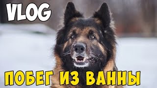 VLOG| Побег из ванны