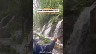 👀 Most dangerous Forest 🌴♥️ #athirapallywaterfalls #waterfalls #kerala #forest #rain #monsoonseason