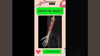 Identify the Muscle of upper limb quiz #anatomy #humananatomy #upperlimuscles