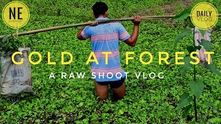 GOLD AT FOREST || Raw Daily Vlog || NE Karanjit