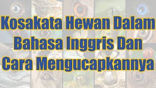 Kosakata Hewan Dalam Bahasa Inggris | Daily English Vocabulary