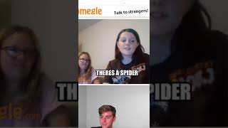 SPIDER JUMPSCARE ON OMEGLE! #shorts