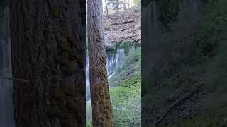 Burney Falls p3 at the bottom!