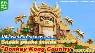 【USJ】World’s first new area“Donkey Kong Country” Sneak peaks revealed