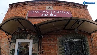 GNIEWSKA TV - GNIEWSKI BIZNES - KWIACIARNIA "AGAWA"