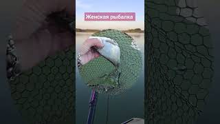 Женская рыбалка 👍#рыбалка #fishing #влог #озеро #fishingvideo #подлещик #удочка