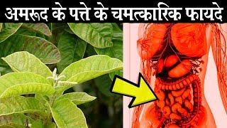 55 की उम्र में 24 का दिखने के लिए अमरूद के 2 पत्ते ही काफी हैं - Jeevan Mantra