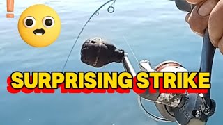 Ep#46 Effective set-up to catch more fish.../Harvest time.....