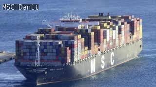 Cargo Ship | MSC Danit Container Ship