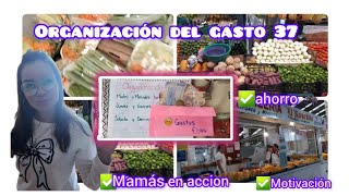 ✅Organización  del Gasto #37  empezamos con el ahorro hormiga 🐜 |Logra tu ahorro💫