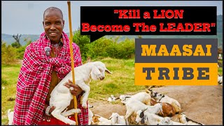 MAASAI TRIBE- KENYA-"Rare Talks" #maasaimara #unseen #sneakpeek #kenyasafari #tribe #explore #vlog