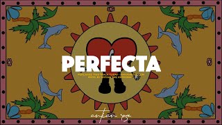 PERFECTA | Reggaeton Sad Instrumental - Bad Bunny, Mora x Feid Type Beat 😞