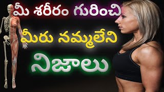 మీ శరీరం గురించి మీకు తెలియని నిజాలు Unknown Facts About Your Body.