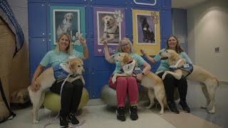 Dog-tors Unite to Celebrate 20 Years of Assisting in Patient Care