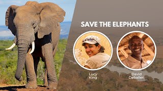 Save the Elephants | Wildlife Conservation Expo