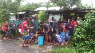 Qauia Qiri kava squad | Only in Fiji.