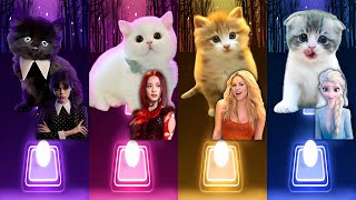 CUTE CATS | WEDNESDAY BLOODY MARY | JISOO FLOWER | SHAKIRA WAKA WAKA | ELSA ENEMY