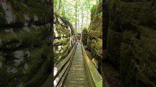 The boardwalk at Beartown