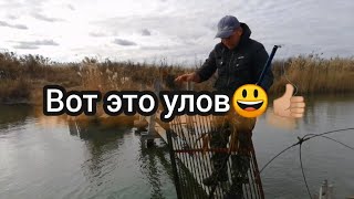 Закрытие сезона рыбалки на паук по открытой воде.