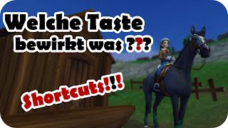 Welche Taste bewirkt jetzt eigentlich was in SSO😅🤔??? (2020) | Tipps und Hilfen #2