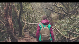 Anaga. El Bollullo. El Drago | Exploring Tenerife #10