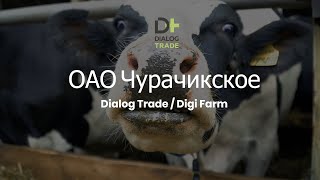 ОАО Чурачикское / Диалог трейд / Digi Farm