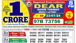 Nagaland State Dear Goose Tuesday Weekly Lottery 23-07-2024 At 8:00 PM Today Result Live